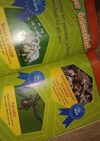 National Geographic Kids: Örümcekler Kitabı - Görsel 3