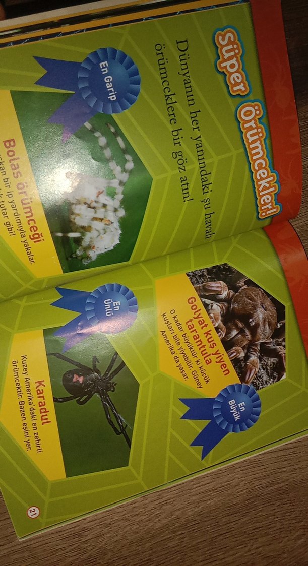 National Geographic Kids: Örümcekler Kitabı - Görsel 3