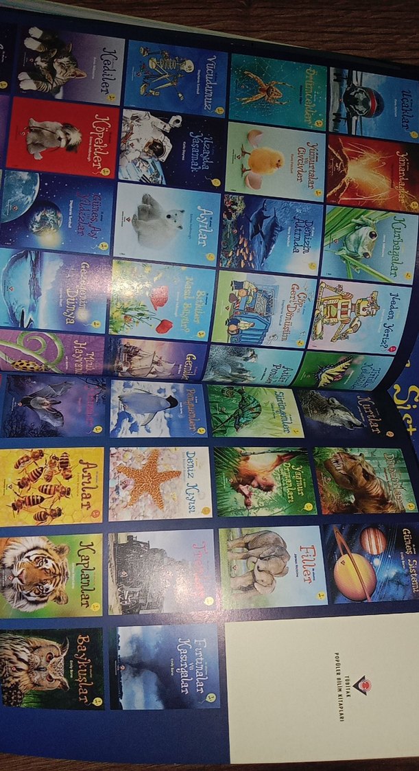 Neden Yeriz? - Çocuk Kitabı - Görsel 2