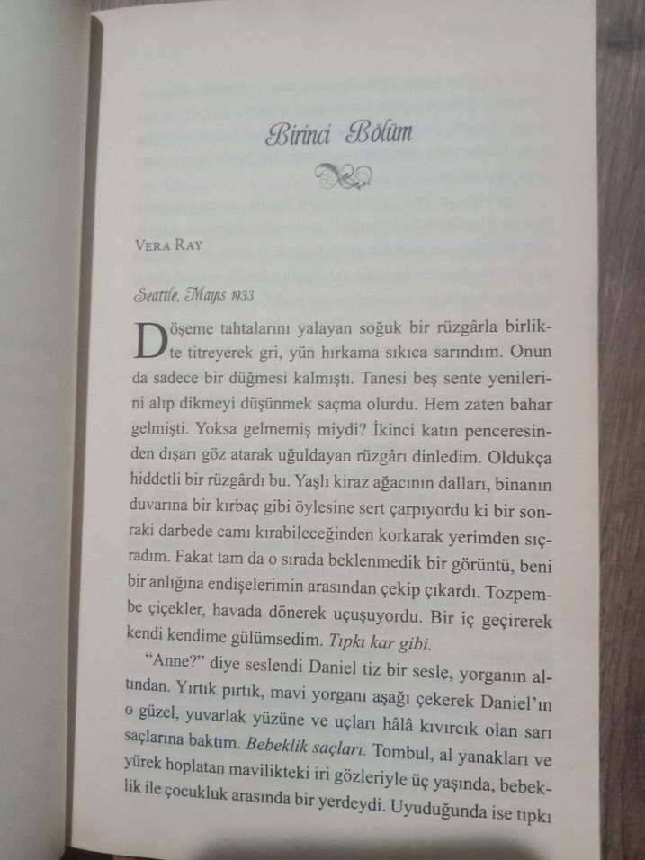 Böğürtlen Kışı - Sarah Jio - Görsel 2