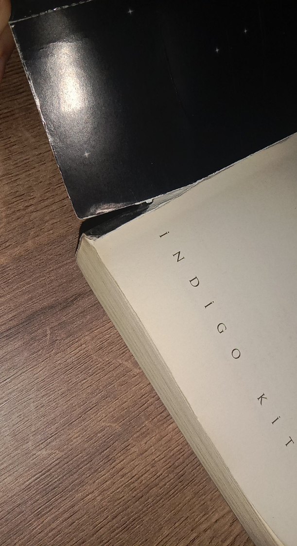 Karantina 1 - Mahşerin Dört Atlısının Hikayesi - Görsel 3