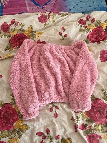 Pembe pofuduk kısa