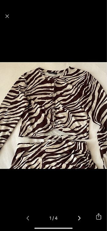 Zebra Desenli Takım
