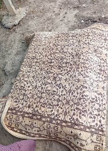 Beden kahverengi Renk ısparta halı