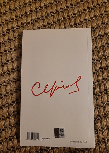 Gökyokuş - Can Yücel - Görsel 2