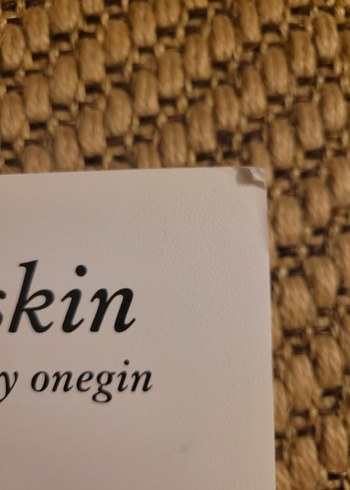 Puşkin - Yevgeniy Onegin (2. Basım) - Görsel 2