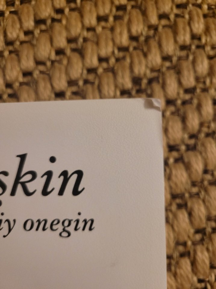 Puşkin - Yevgeniy Onegin (2. Basım) - Görsel 2