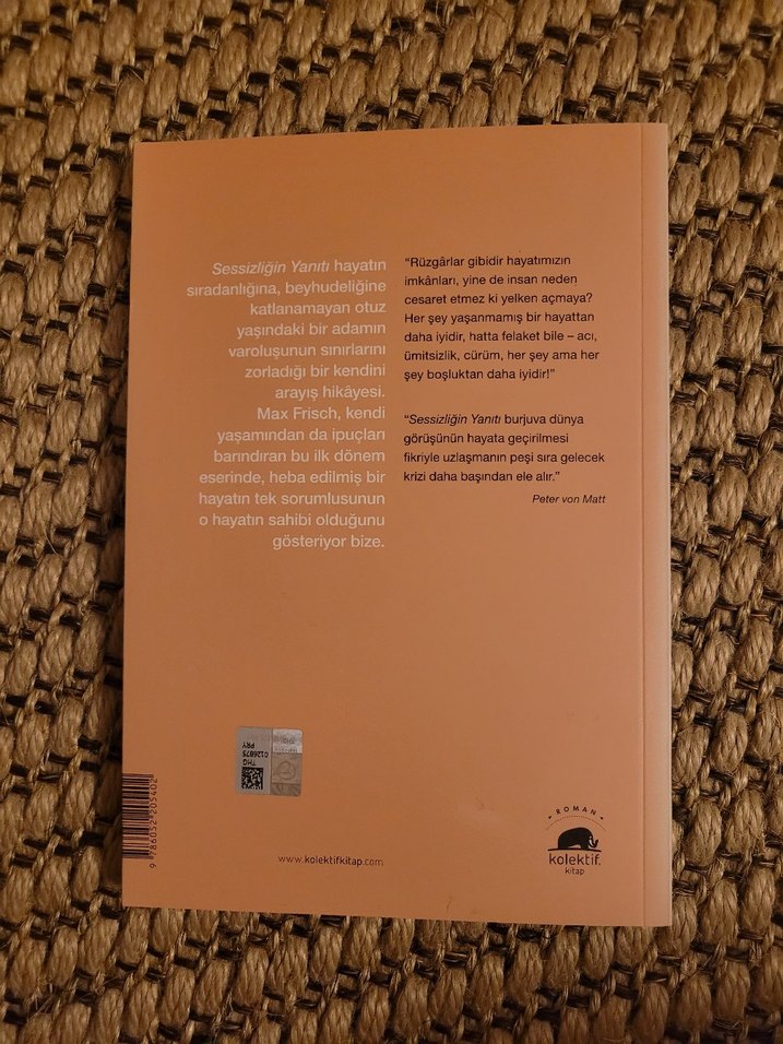 Sessizliğin Yanıtı - Max Frisch - Görsel 2
