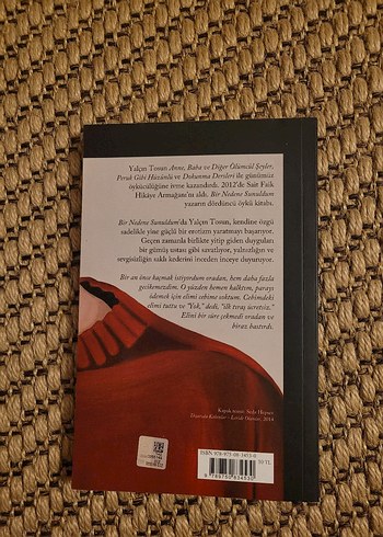 Bir Nedene Sunuldum - Yalçın Tosun - Görsel 2