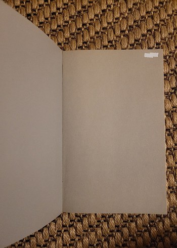 Kaçırdıklarımız - Adam Phillips - Görsel 3