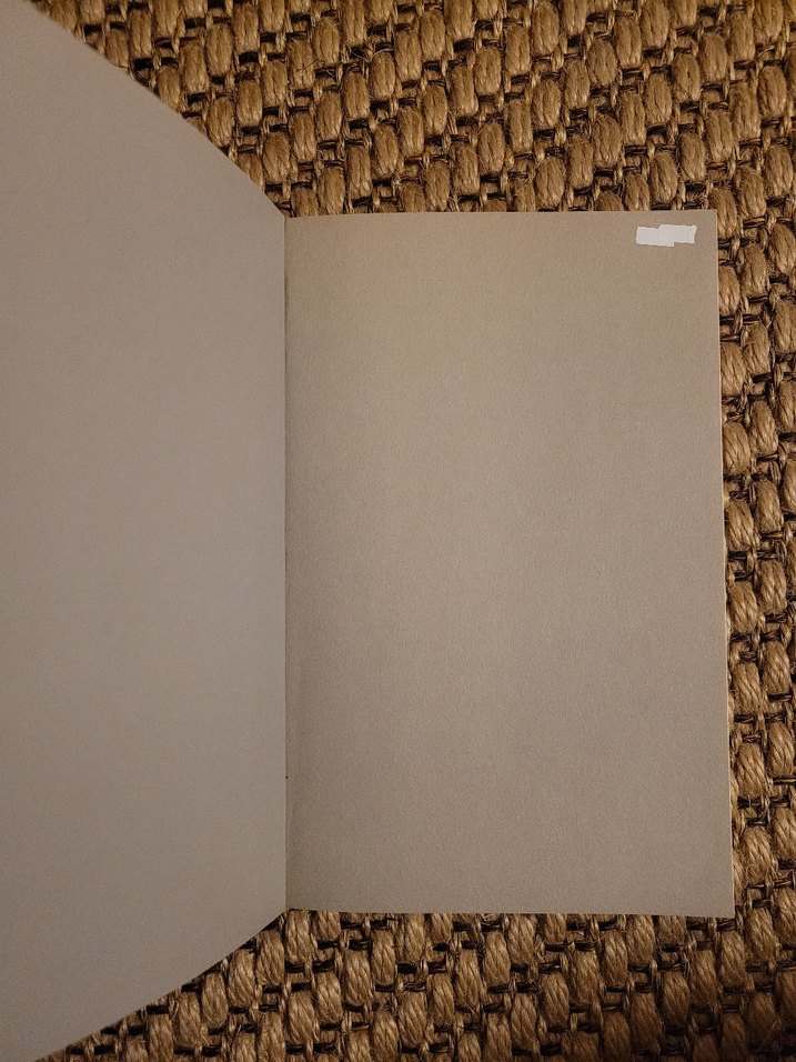 Kaçırdıklarımız - Adam Phillips - Görsel 3