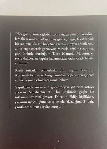 Kürk Mantolu Madonna - Sabahattin Ali - Görsel 2