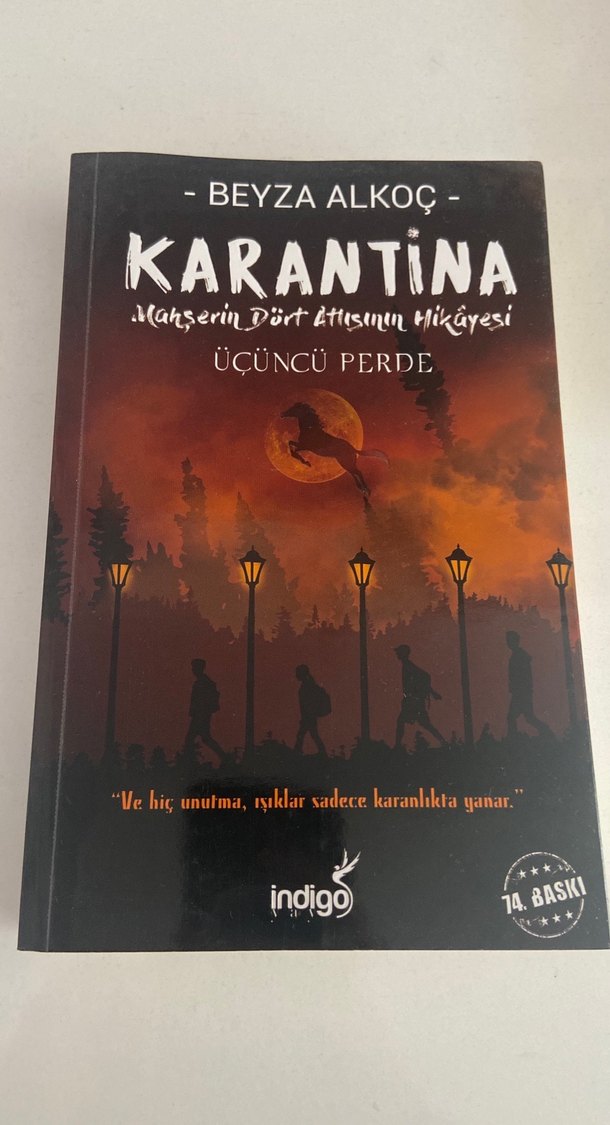 Beyza Akkoç - Karantina  Romanlar 3 - Görsel 2