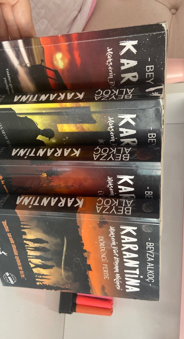 Beyza Alkoç - Karantina 1 - Görsel 2