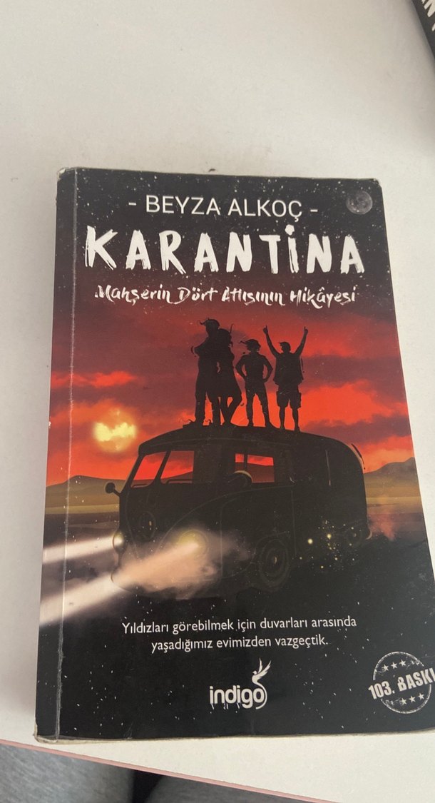 Beyza Alkoç - Karantina 1 - Görsel 3