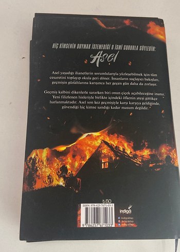Beden Renk Asel - Sena Nur Işık Romanı CİLTLİ