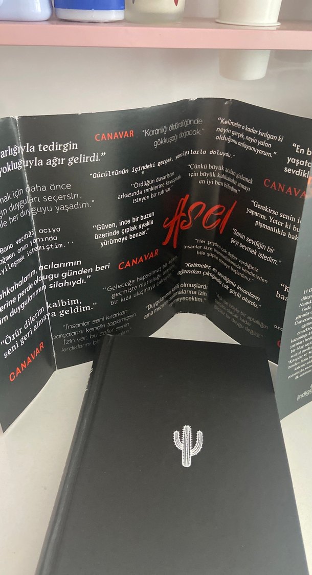 Asel - Sena Nur Işık Romanı CİLTLİ - Görsel 2