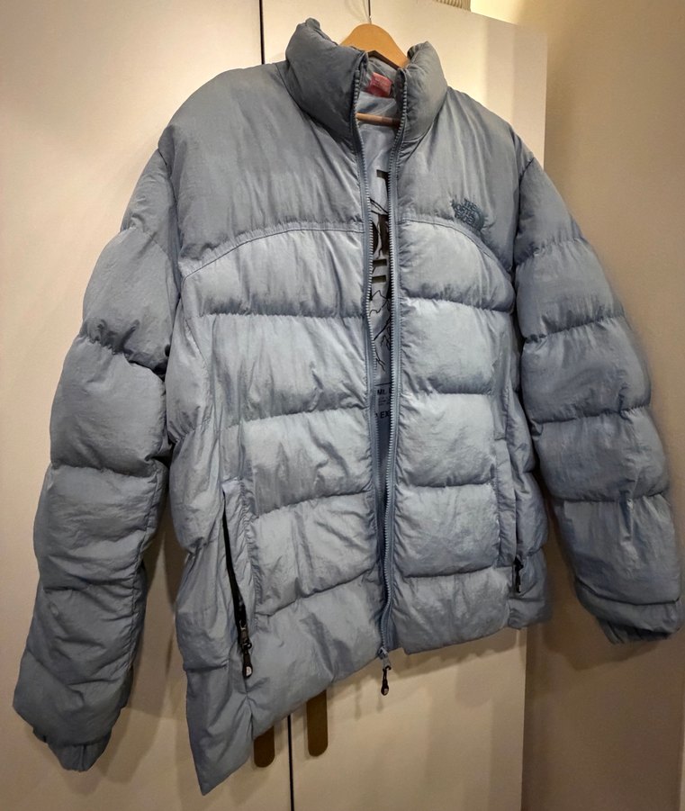The north face  Mavi Fermuarlı Erkek Mont xl - Görsel 4