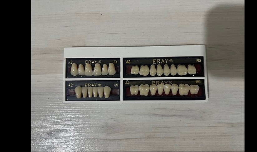 Dental takım diş