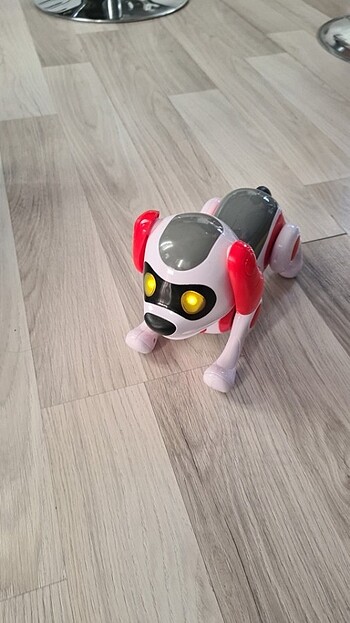 Beden Robot Kopek