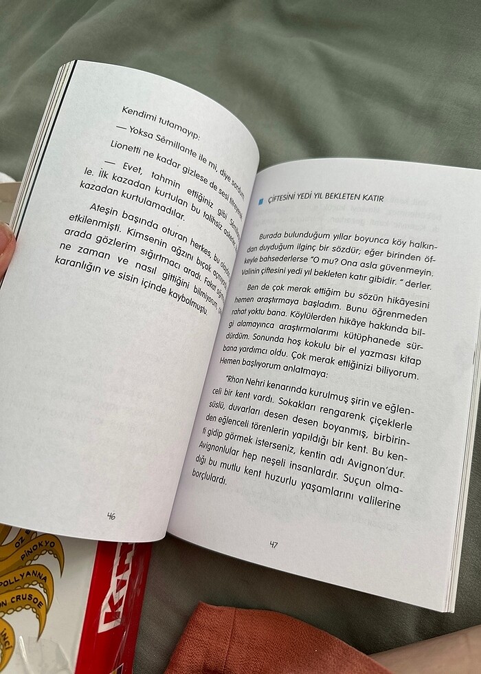 Kırmızı balık serisi 2. 3. 4. Sınıfa uygun kitap - Görsel 5