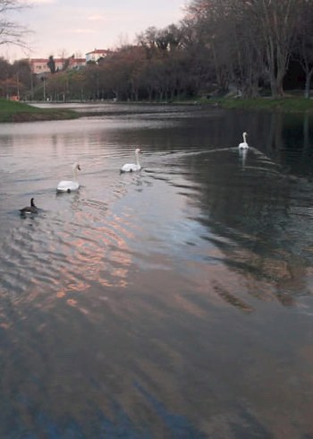 Kodak EasyShare Sport C123 Dijital Kamera - Görsel 10