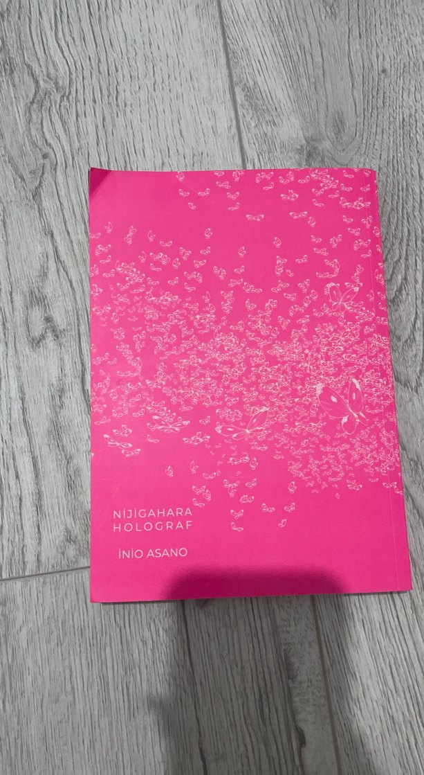 Nidigahara Holograf İnio Asano Çizgi Romanı - Görsel 2