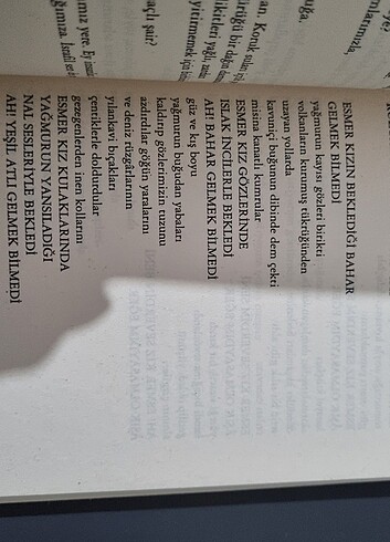 Rüzgar Durdurma Takvimi (Toplu Şiirler) Adnan Özer - Görsel 3