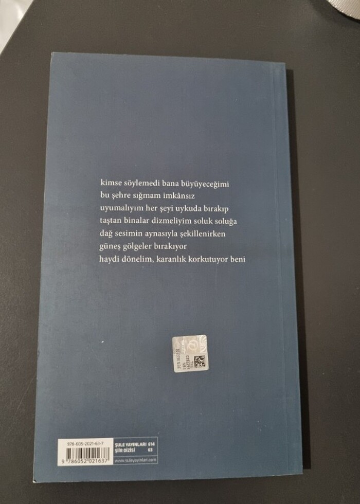 Alışılmadık Deniz - Filiz Geç - Görsel 2