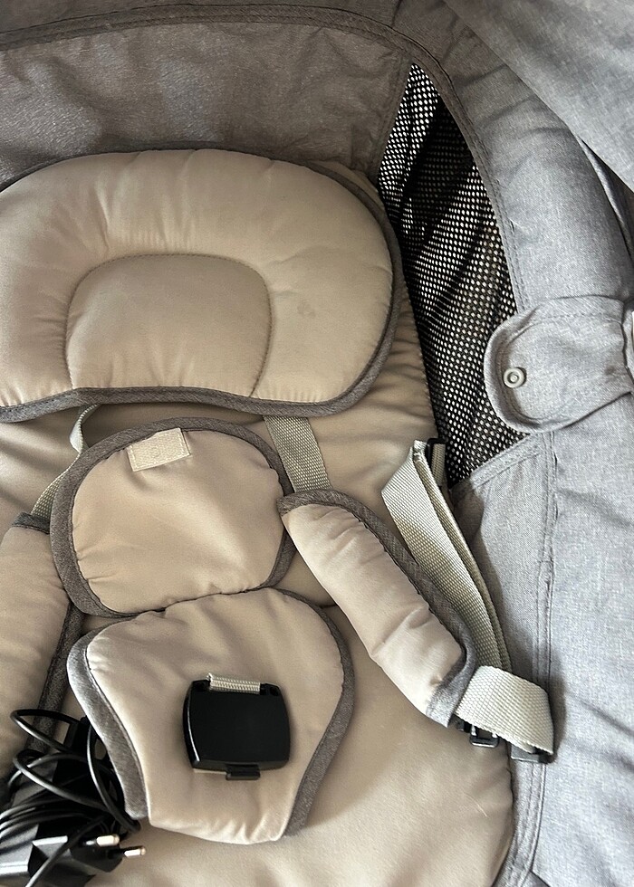 Sallanan ana kuçağı - Görsel 2