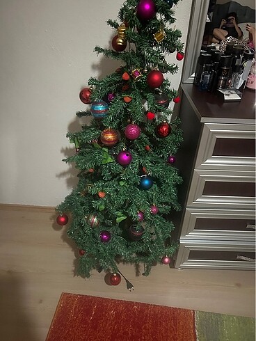 Diğer Çam ağacı