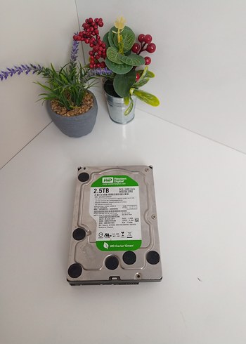2.5TB Western Digital Yeşil Sabit Disk