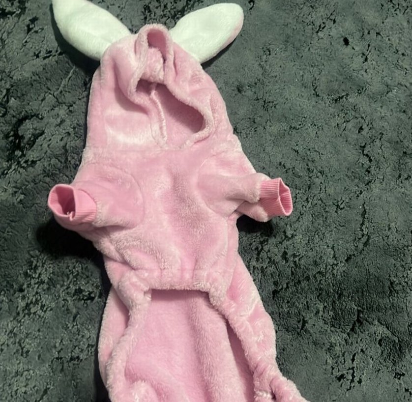 pembe tavsan kiyafeti - Görsel 2