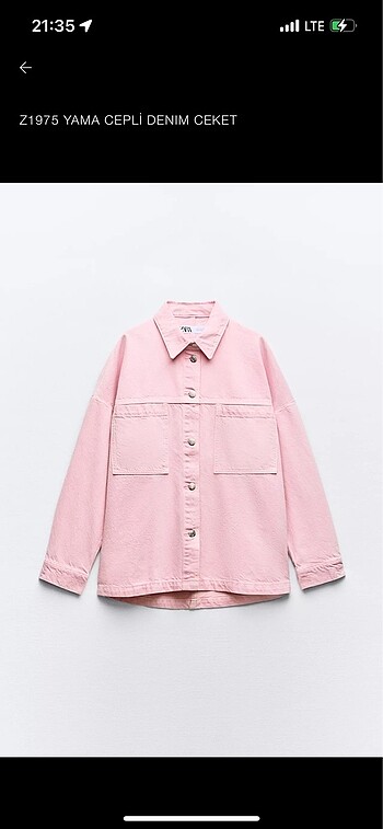 Zara ceket