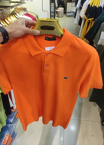 Polo yaka tişört 