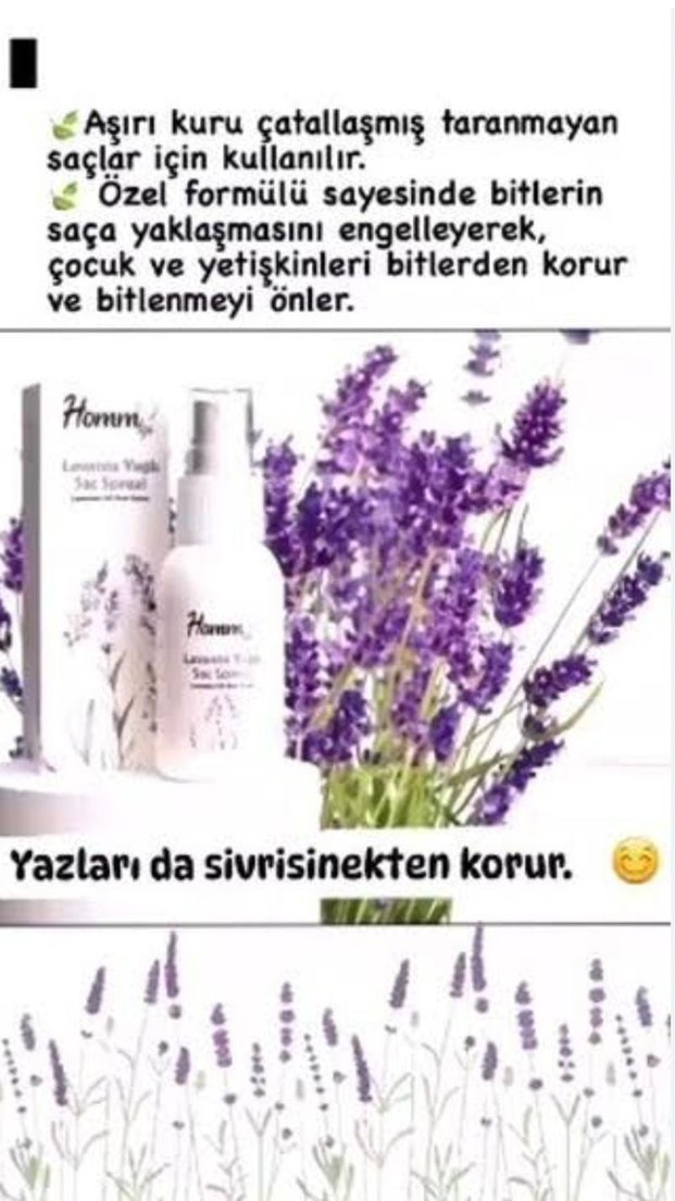 Lavanta Yağlı Saç Spreyi - Bit Önleyici - Görsel 2