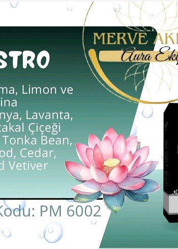 Maestro For Men Siyah Klasik Parfüm EAU DE PARFÜM - Görsel 2