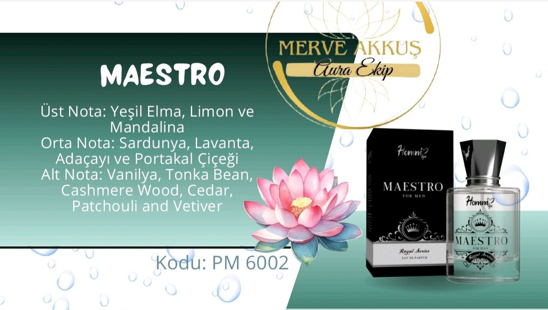 Maestro For Men Siyah Klasik Parfüm EAU DE PARFÜM - Görsel 2