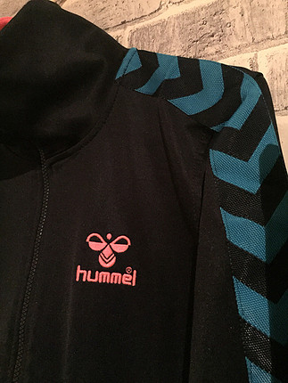 Hummel Hummel polar