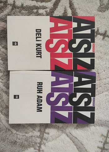 Deli Kurt ve Ruh Adam Roman Kitapları