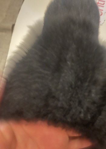 Penti zoe bere - Görsel 2