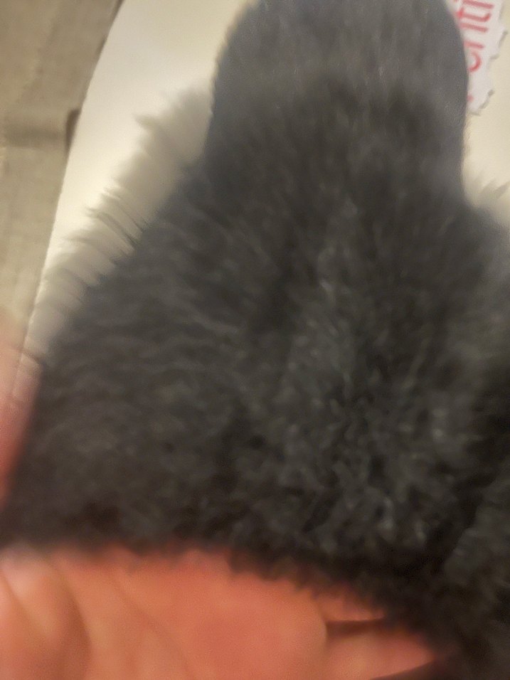 Penti zoe bere - Görsel 2