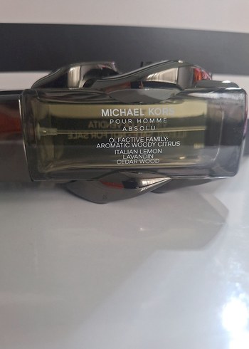 Michael Kors Pour Homme Absolu Erkek Parfümü 100 ml - Görsel 4