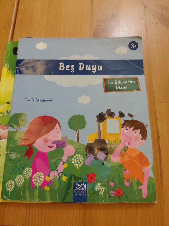 4 adet cocuk kitabı 3-6 Yaş - Görsel 2
