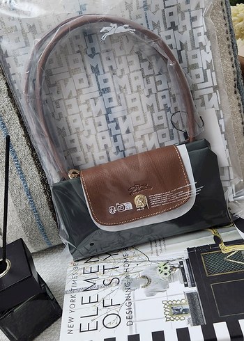 Beden haki Renk Longchamp Small Le Pliage 201