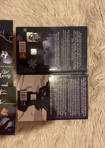 Beyza Alkoç - Kar Tanesi ve Kar Küresi Romanları - Görsel 2