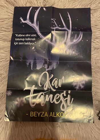 Beyza Alkoç - Kar Tanesi ve Kar Küresi Romanları - Görsel 3