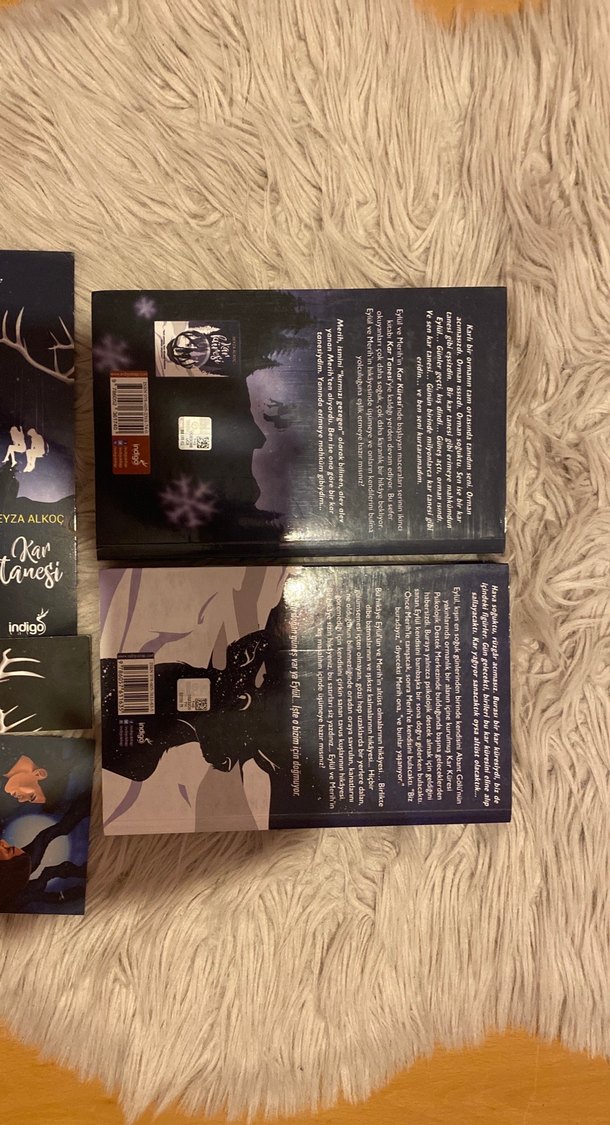 Beyza Alkoç - Kar Tanesi ve Kar Küresi Romanları - Görsel 2