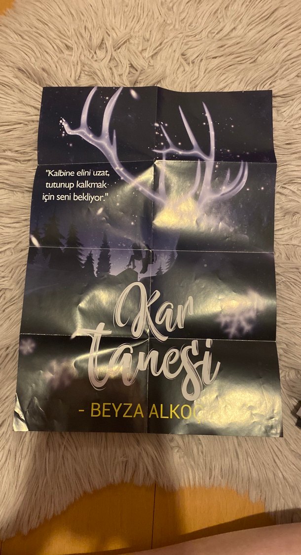 Beyza Alkoç - Kar Tanesi ve Kar Küresi Romanları - Görsel 3