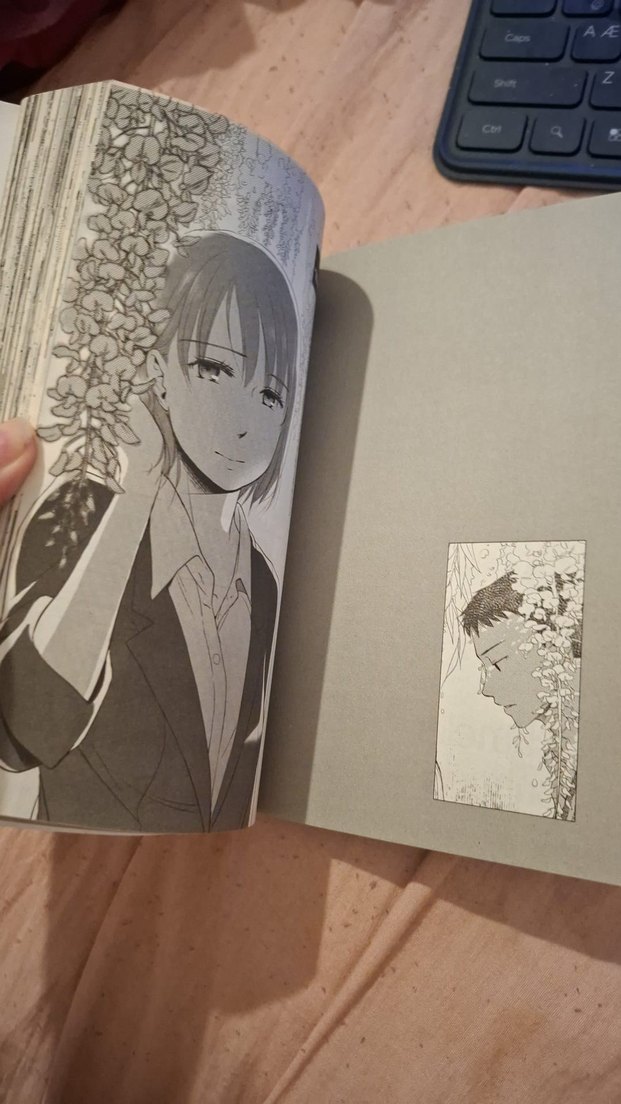 Kelimeler Bahçesi manga makoto shinkai midori motohashi - Görsel 3